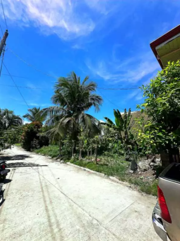 Residential Lot for Sale in (Sabang, Danao City) Subdivision Near Main Road and Entrance