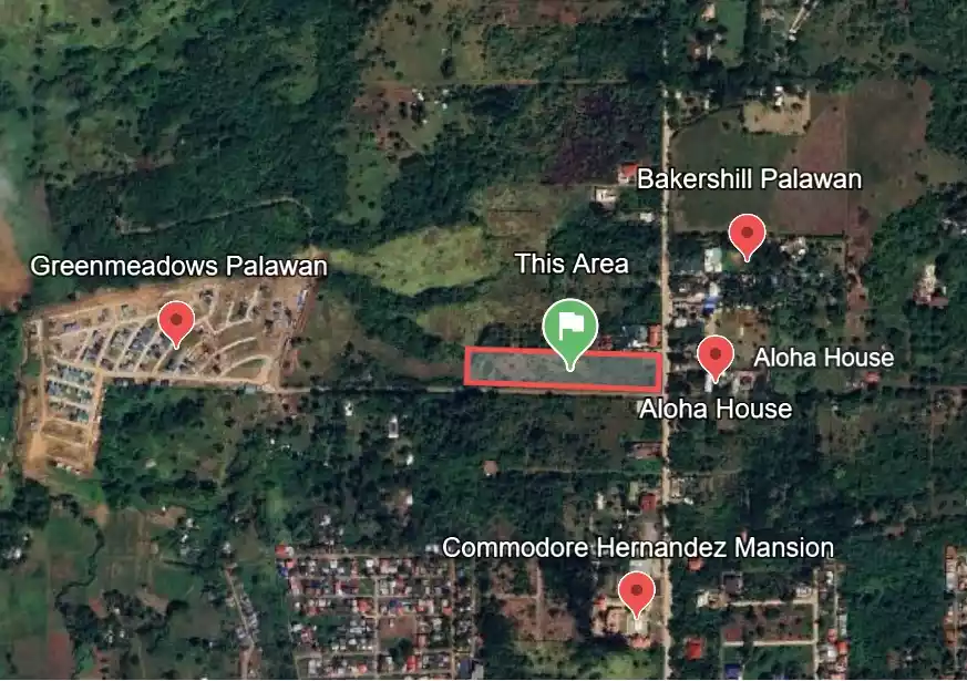 For Sale: Residential Lot in Santa Monica, Puerto Princesa City — 12649 sqm