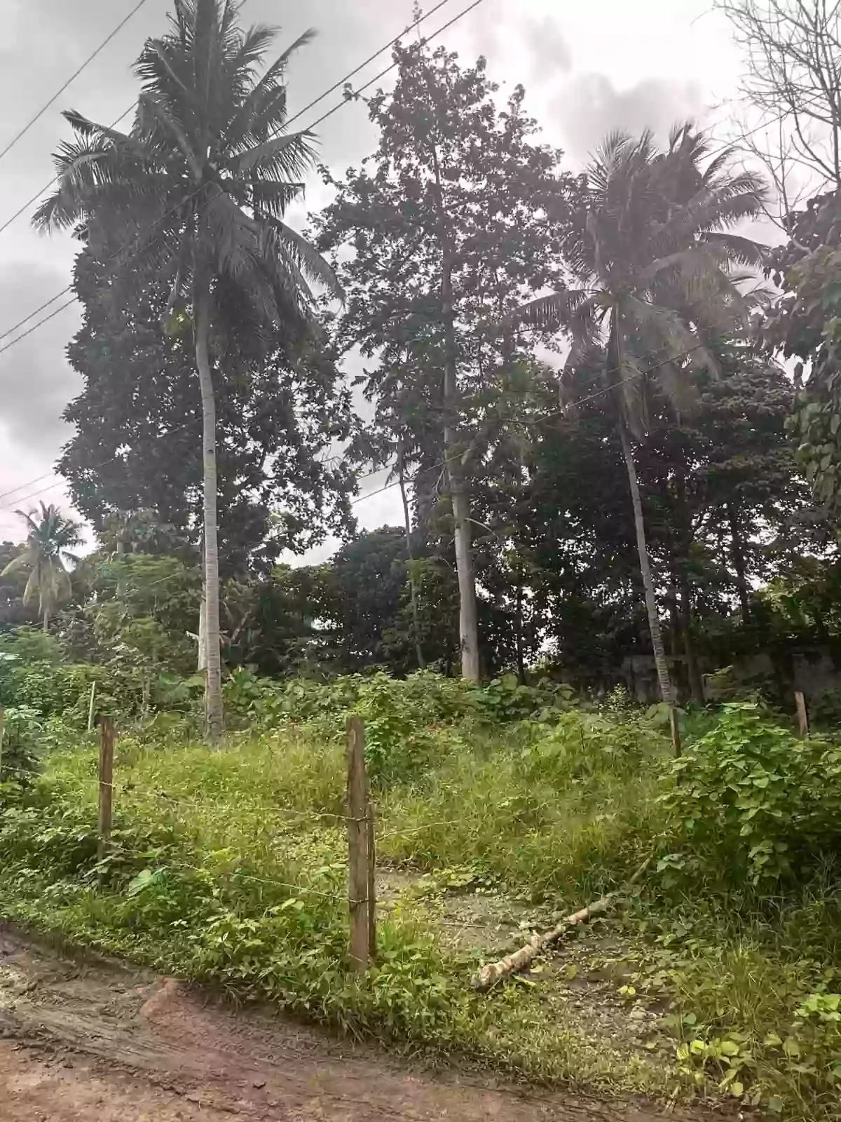 For Sale: Residential Lot in Shrine Hills, Matina Davao City — 400 sqm — Residential Lot in Talomo (Pob.), Davao City, Davao del Sur — Photo 5