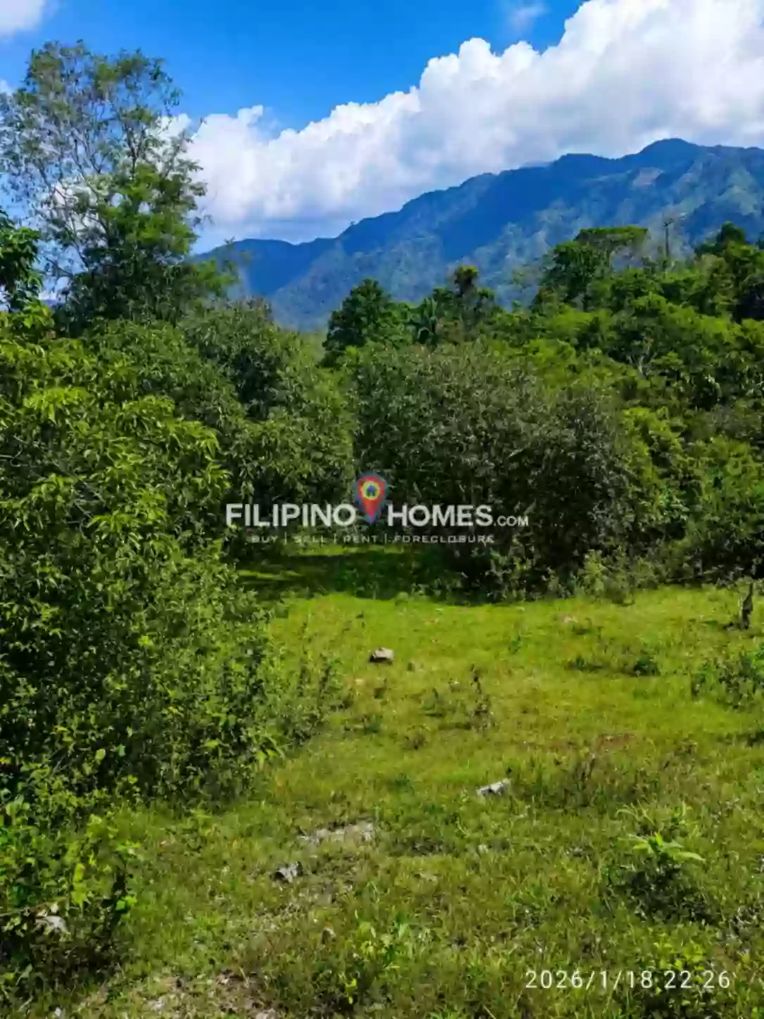 Affordable Farm Lot — Agricultural Lot in Kimarayang, Pigkawayan, Cotabato — Photo 3