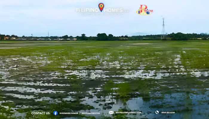 For Sale: Agricultural Lot Near Koronadal, South Cotabato — 10000 sqm — Agricultural Lot in Koronadal, South Cotabato, 9506 — Photo 6