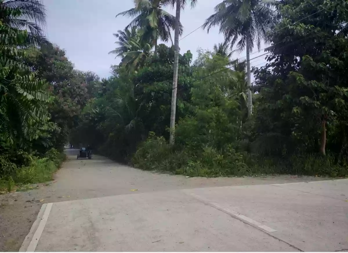 Commercial Lot near UST Gensan — Commercial Lot in Katangawan, Gen. Santos City, South Cotabato — Photo 5