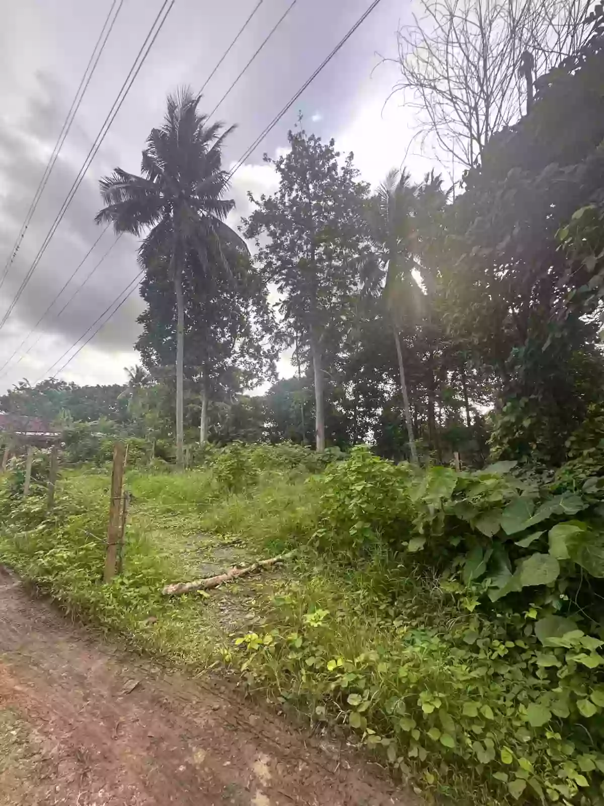 For Sale: Residential Lot in Shrine Hills, Matina Davao City — 400 sqm — Residential Lot in Talomo (Pob.), Davao City, Davao del Sur — Photo 4