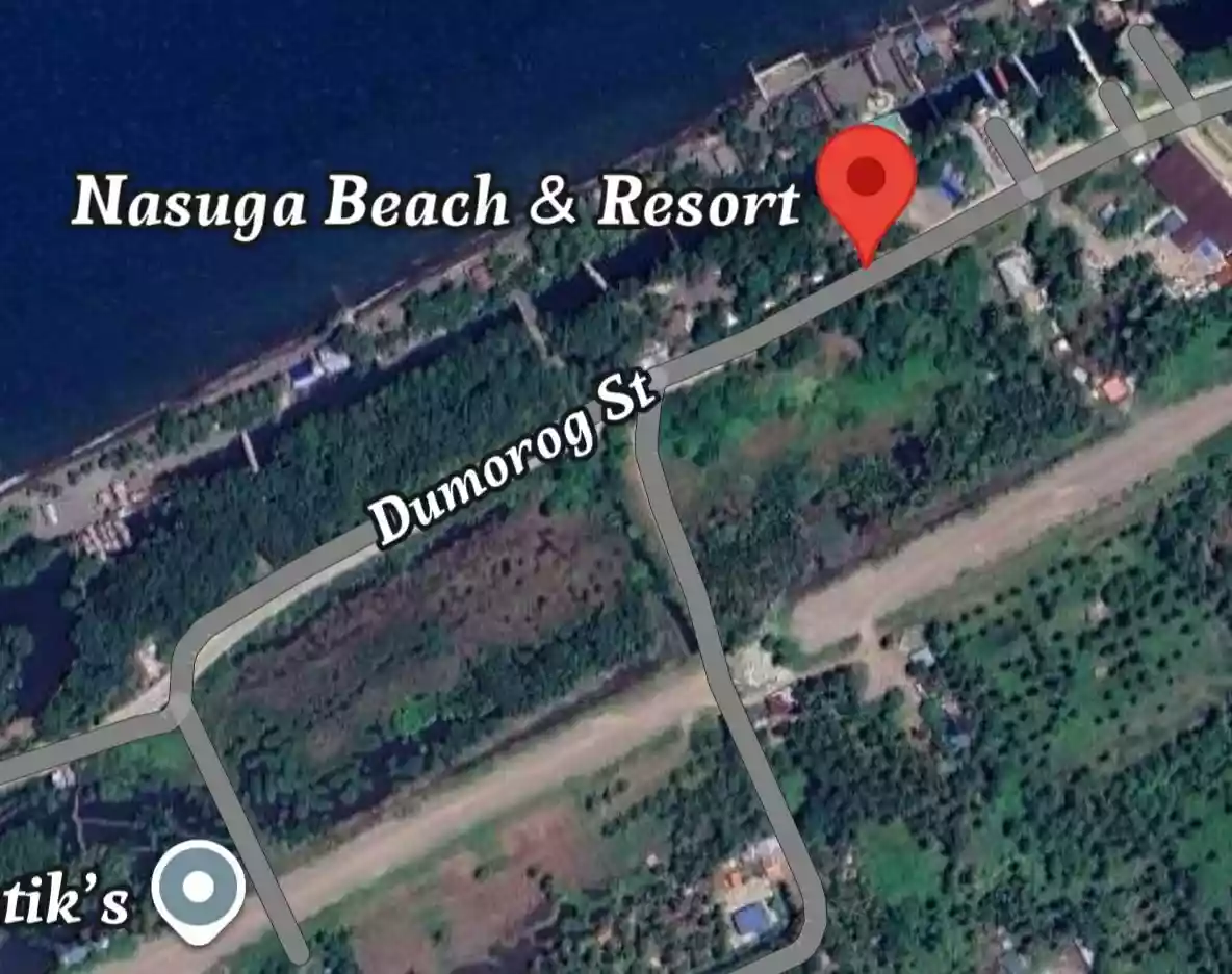 For Sale: Agricultural Lot Near Cabeza de Buenavista Rotunda, Buenavista — 27061 sqm — Agricultural Lot in Buenavista, Agusan del Norte, 8601 — Photo 2