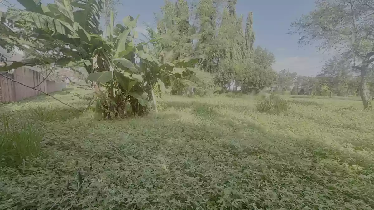 For Sale: Residential Lot in Panipuan, Mexico, Pampanga — 336 sqm — Residential Lot in Panipuan, Mexico, Pampanga — Photo 6