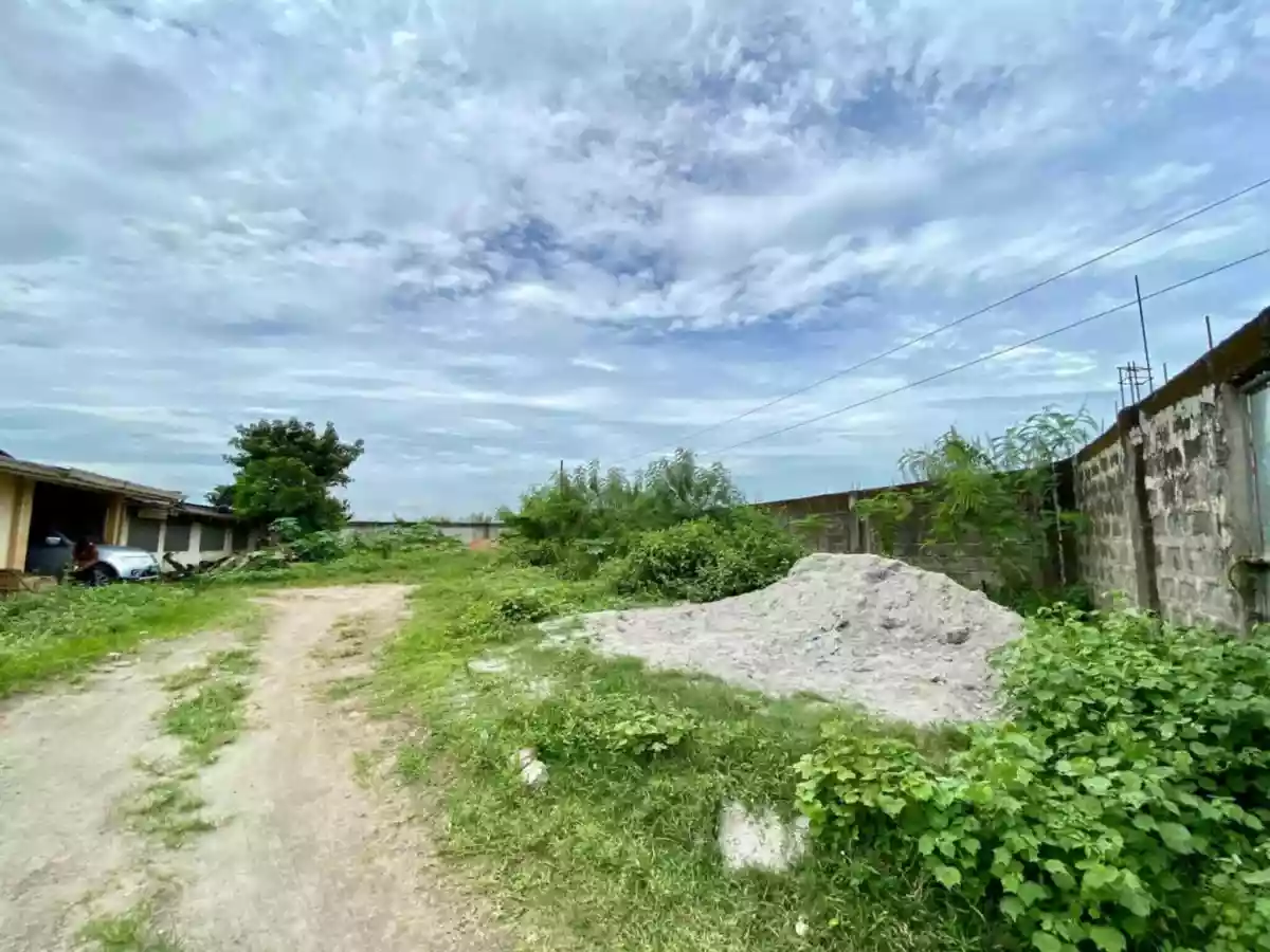 For Sale: Industrial Lot in Telapayong, Arayat — 3250 sqm — Industrial Lot in Arayat, Pampanga, 2012 — Photo 5