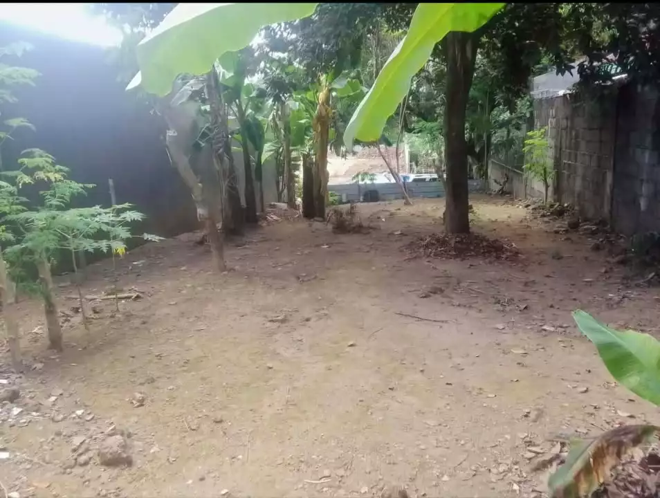 For Sale: Residential Lot in Pasong Tamo, Quezon City — 200 sqm — Residential Lot in Quezon City, Metro Manila, 1101 — Photo 6