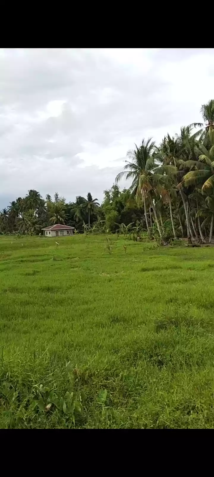 Clean Title — Commercial Lot in Banilad, Bacung, Negros Oriental — Photo 5