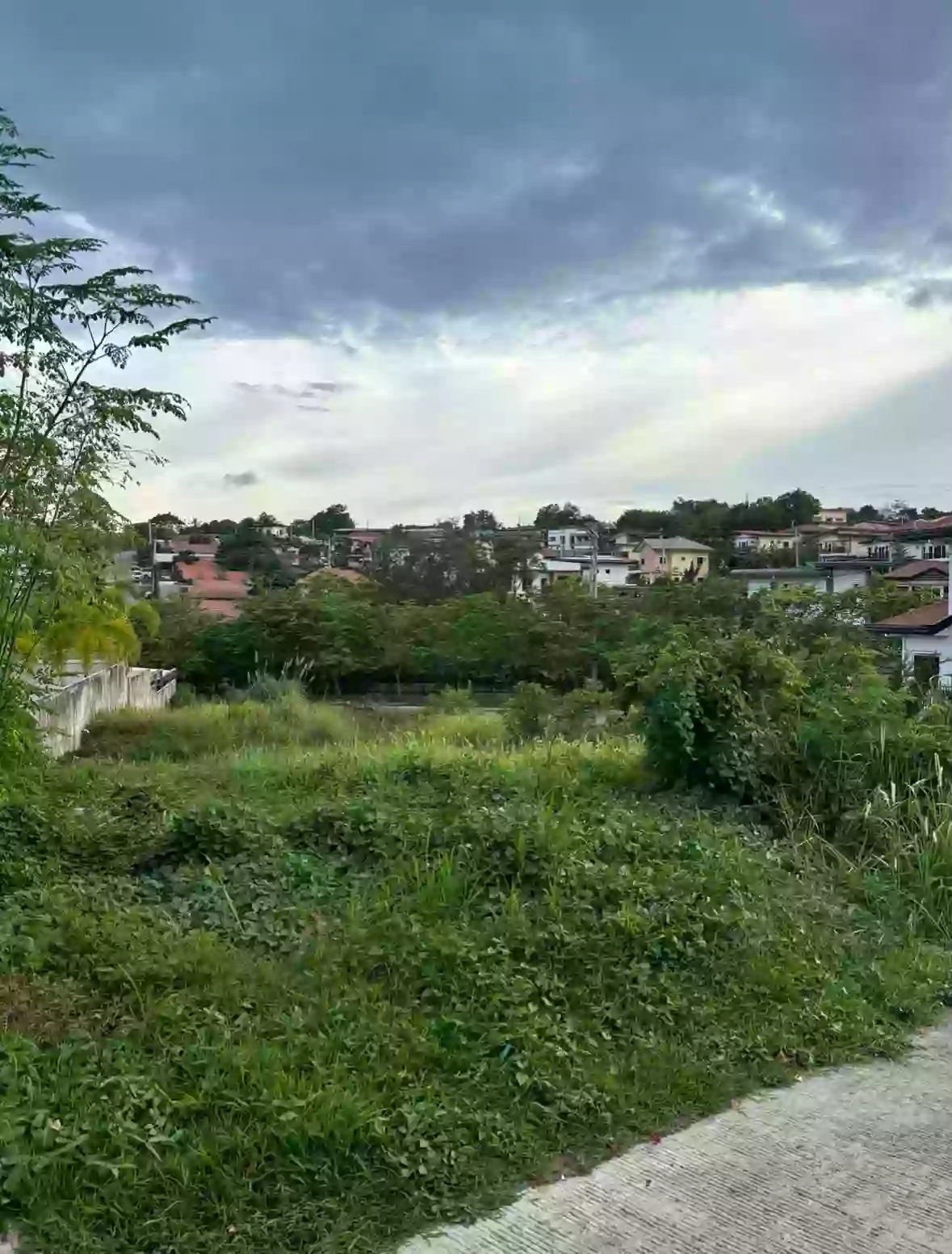 313 sqm Residential Lot for Sale in Communal, Davao City — Investment — Residential Lot in Davao City, Davao del Sur, 8000 — Photo 2