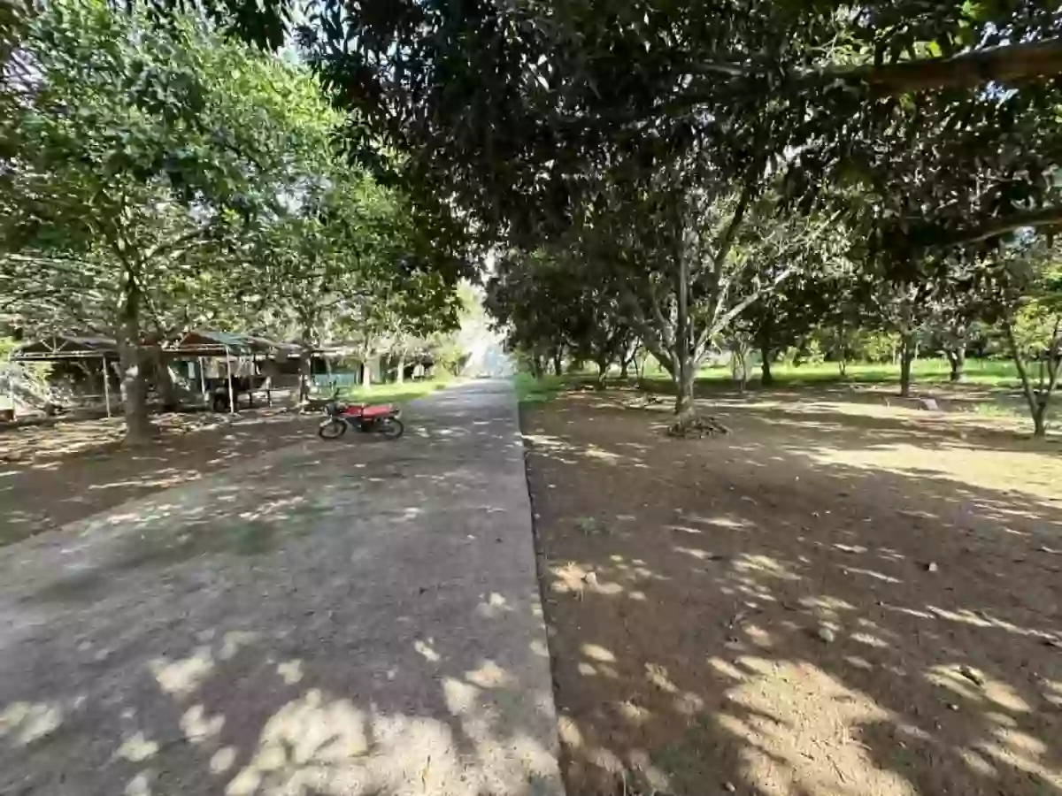For sale Residential Lot Near Macasandig Night Market, Cagayan de Oro City — 3,272 sqm — Residential Lot in Macasandig, Cagayan de Oro City, Misamis Oriental — Photo 4