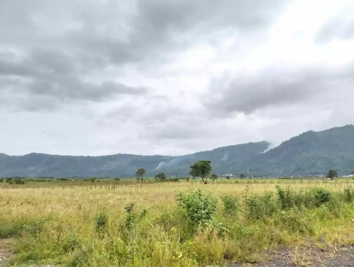 For Sale: 20892 sqm Agricultural Lot in Magsaysay, Jabonga — Agricultural Lot in Jabonga, Agusan del Norte, 8607 — Photo 3