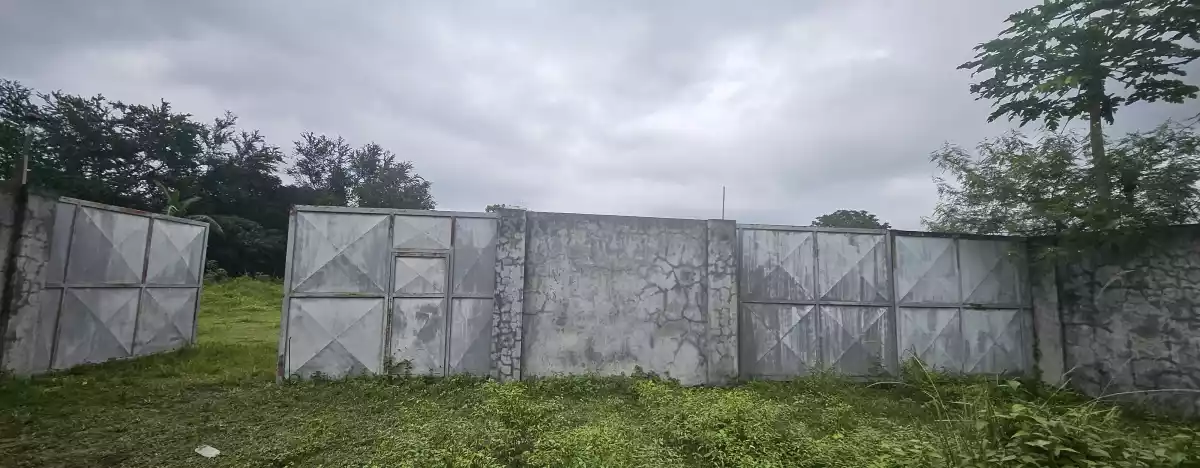 For Sale Farm Lot -Purok 8 Tinagacan, Gen. Santos City — Gated and Cemented Road — Agricultural Lot in Lower Labay, Tinagacan, Gen. Santos City — Photo 7