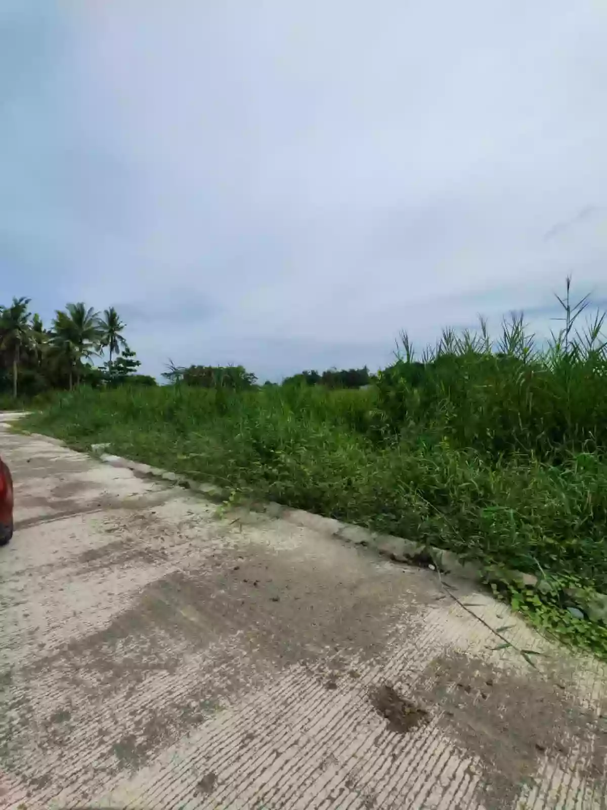 Residential Lot for Sale at Employees Village, Butuan City — Residential Lot in Butuan City, Agusan del Norte, 8600 — Photo 3
