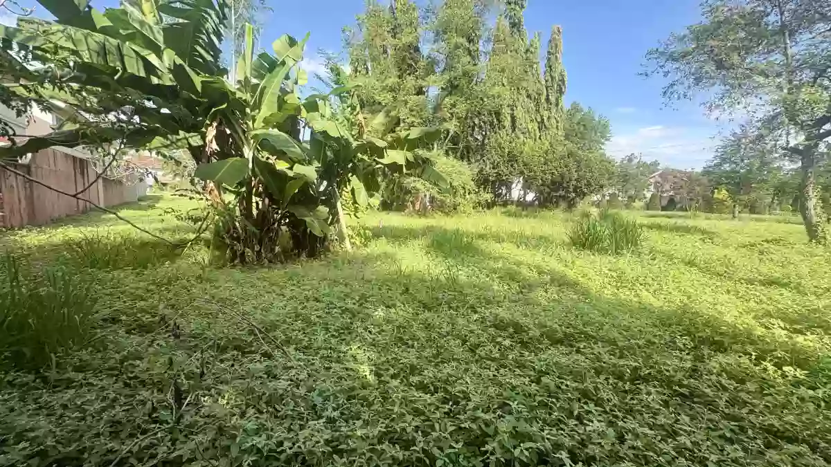 For Sale: Residential Lot in Panipuan, Mexico, Pampanga — 336 sqm — Residential Lot in Panipuan, Mexico, Pampanga — Photo 7