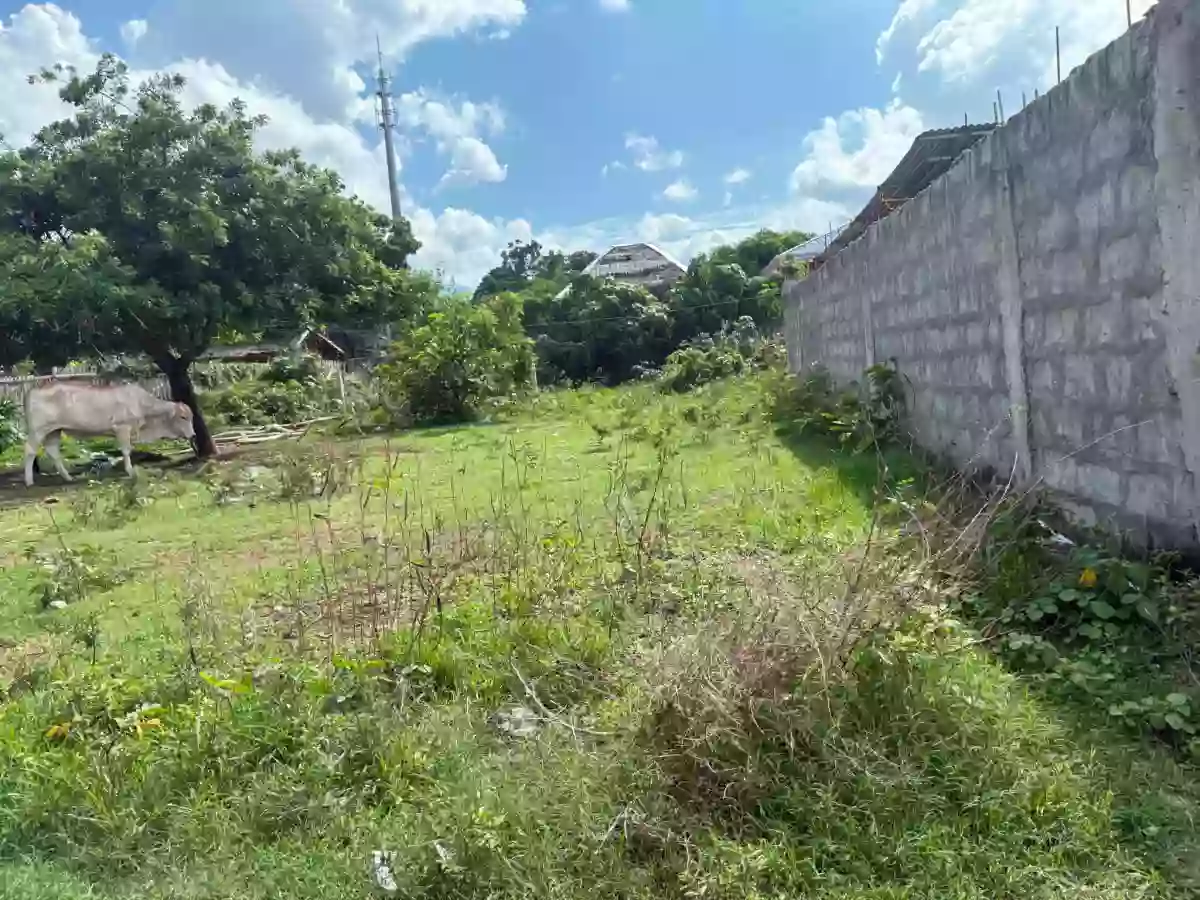 For Sale: Residential Lot in Batinguel, Dumaguete City — 150 sqm