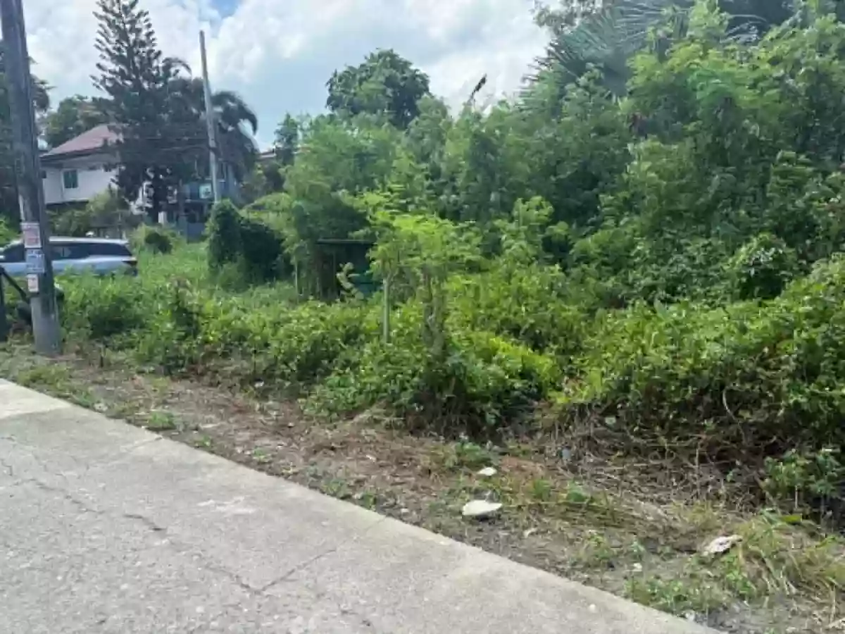 For Sale: Residential Lot in Leofeville Subdivision, Liloan — 100 sqm