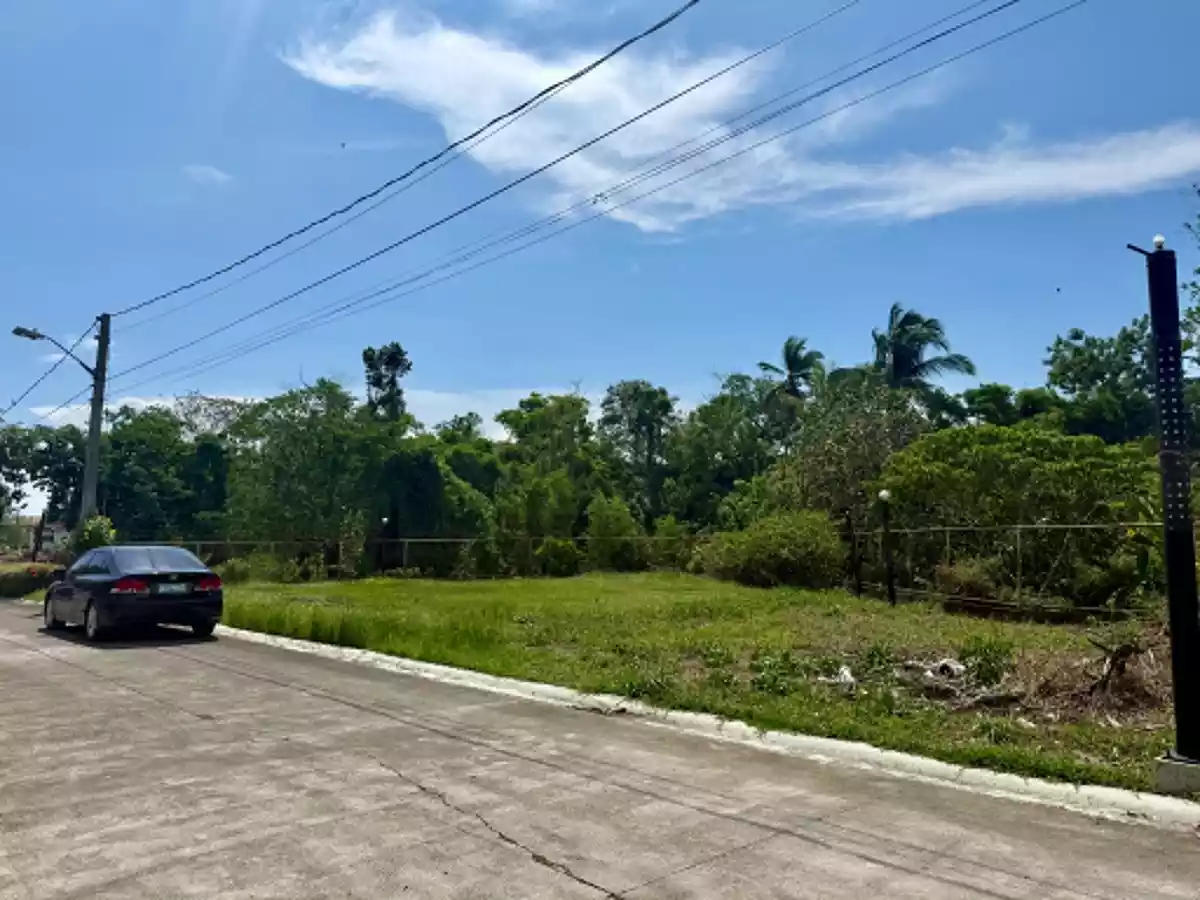 Premium Residential Lot for Sale in The Palisades, Bacolod City — Residential Lot in BLK 5, Estefania, Bacolod City — Photo 3