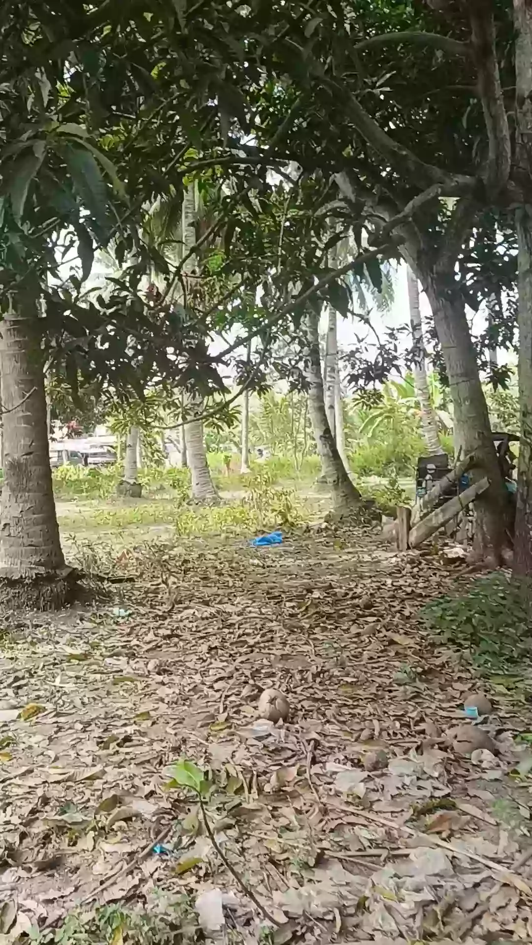 Open photo 16 of 21 — For Sale Commercial Lot in Matiao, Mati City — 7,329 sqm