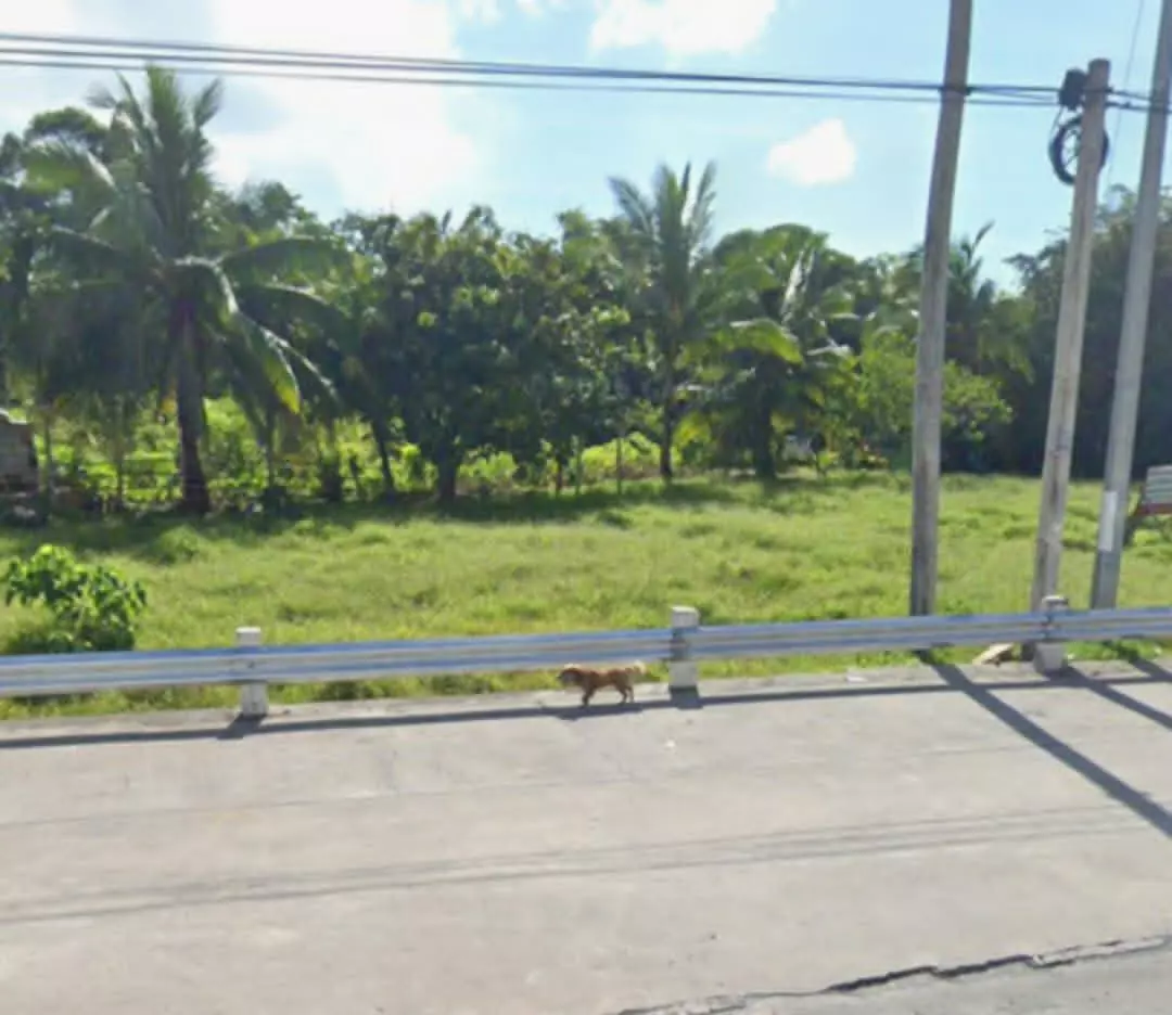 Industrial/Commercial Lot for Sale