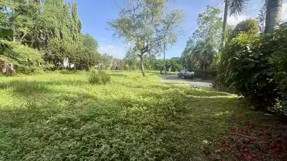 For Sale: Residential Lot in Panipuan, Mexico, Pampanga — 336 sqm — Residential Lot in Panipuan, Mexico, Pampanga — Photo 6