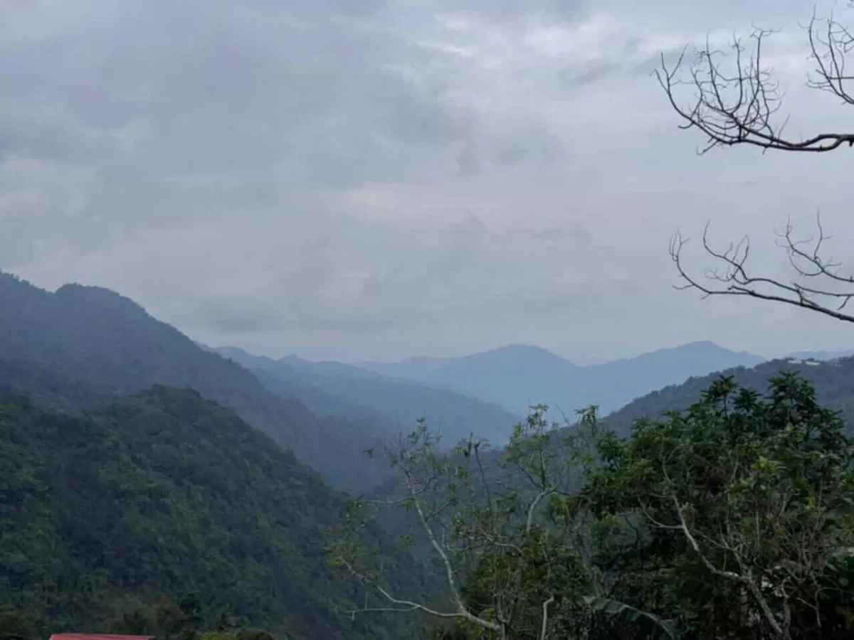 For Sale: 300 sqm Residential Lot in Poblacion, Tuba — Residential Lot in Tuba, Benguet, 2603 — Photo 4
