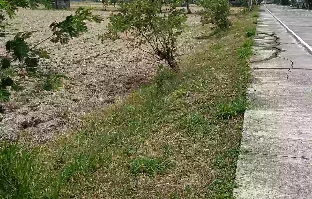 Commercial and Residential Lot for Sale! — Agricultural Lot in Cagmanaba, Ocampo, Camarines Sur — Photo 5