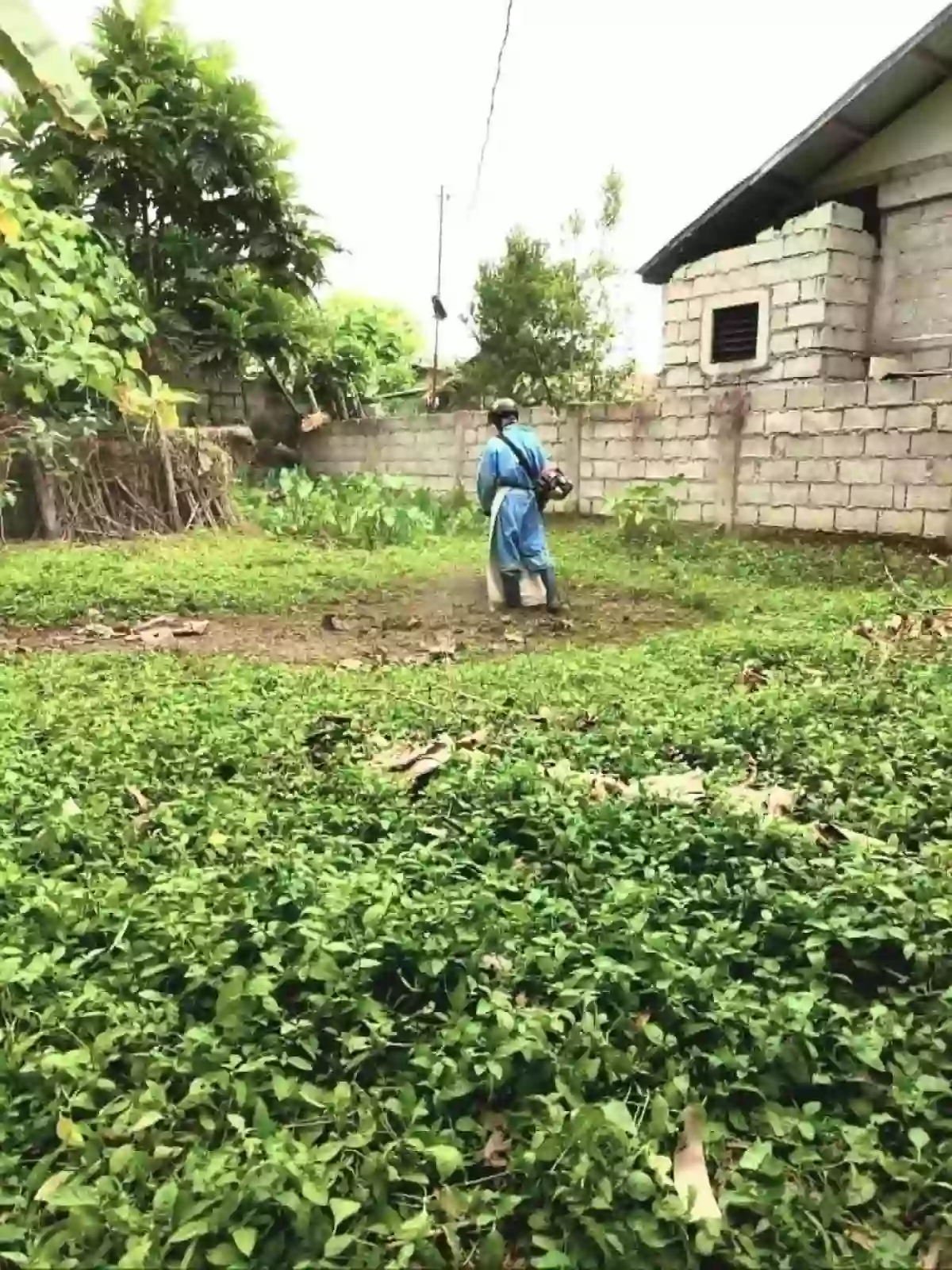 For Sale Residential Lot in Ajong, Sibulan — 258 sqm Clean Title