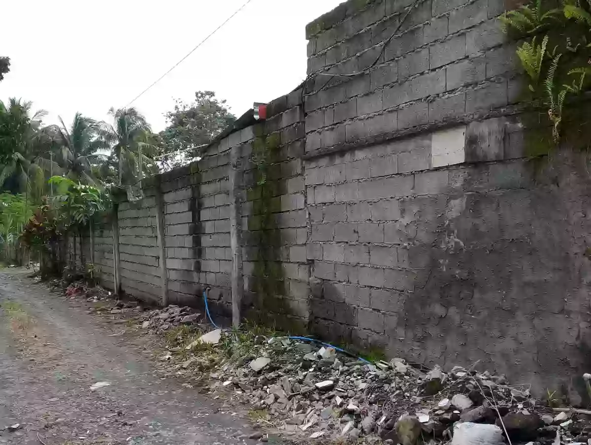 For sale: Cannery Site Building in Polomolok — business operations — Building in South Cotabato, 9504, Philippines — Photo 4