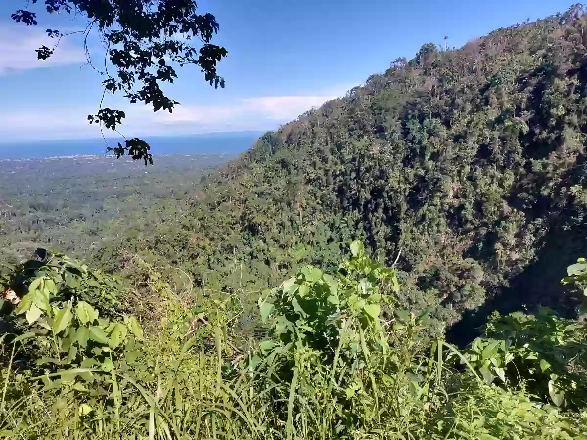 For Sale: Residential Lot in Apolong, Valencia — 1305 sqm — Residential Lot in Valencia, Negros Oriental, 6215 — Photo 4
