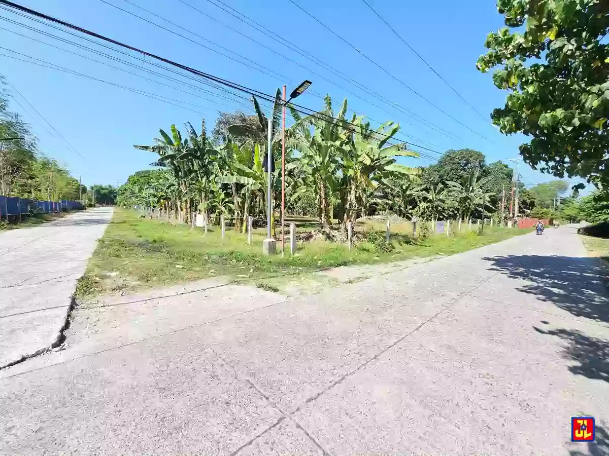 For Sale: 2,500sqm Corner Lot in San Miguel, Bacong, Negros Oriental [available]