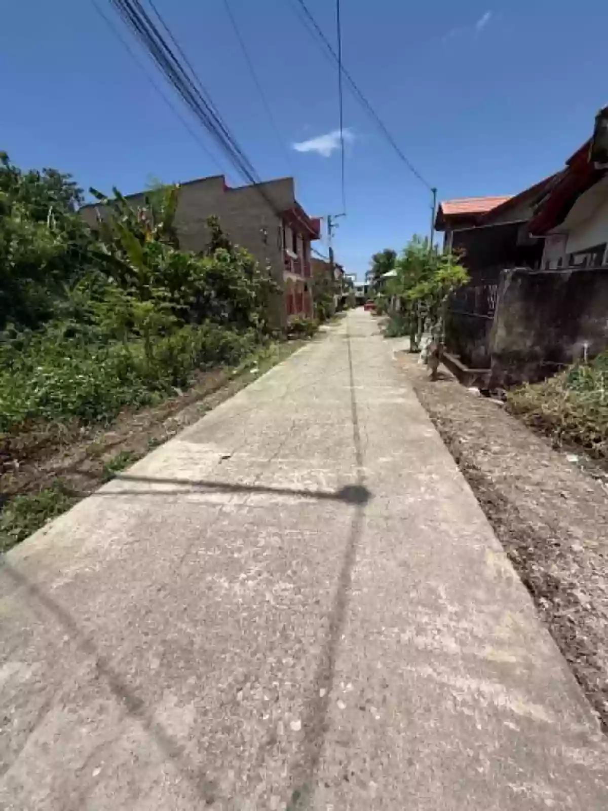 For Sale: Residential Lot in Leofeville Subdivision, Liloan — 100 sqm — Residential Lot in Liloan, Cebu, 6002 — Photo 4