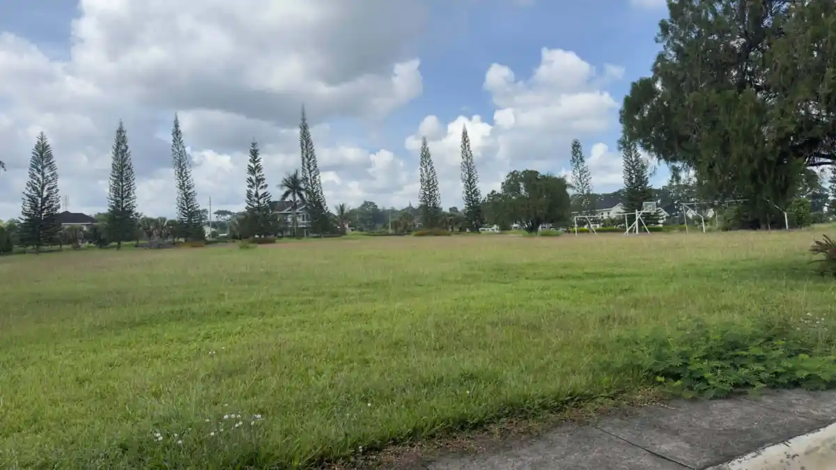 FOR SALE: Residential Lot in Damilag, Manolo Fortich — 298 sqm — Residential Lot in Damilag, Manolo Fortich, Bukidnon — Photo 3