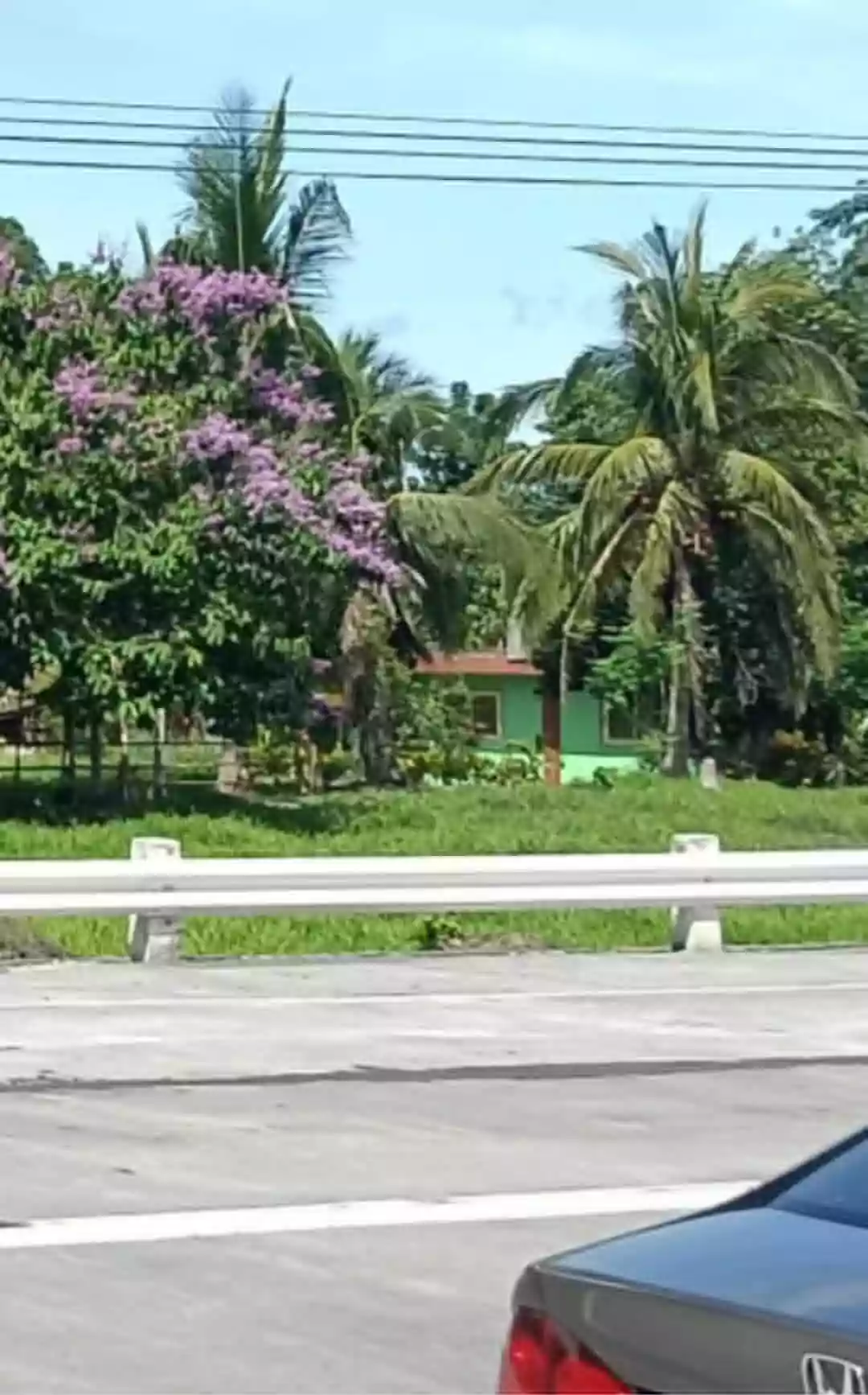 Industrial/Commercial Lot for Sale — Industrial Lot in Pili, Camarines Sur, 4418 — Photo 4
