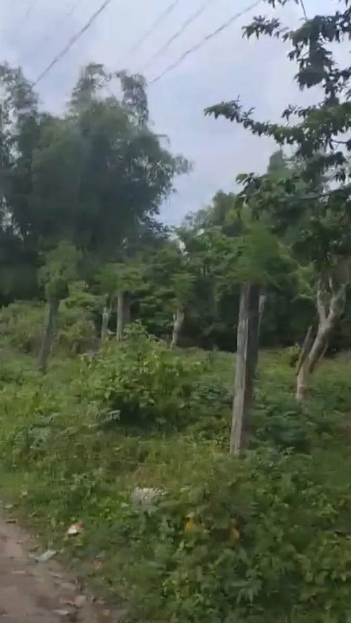 For Sale: Residential Lot Near Bacong Rural Health Unit, Bacong — 500 sqm — Residential Lot in Barangay Hall, Combado, Bacung — Photo 5
