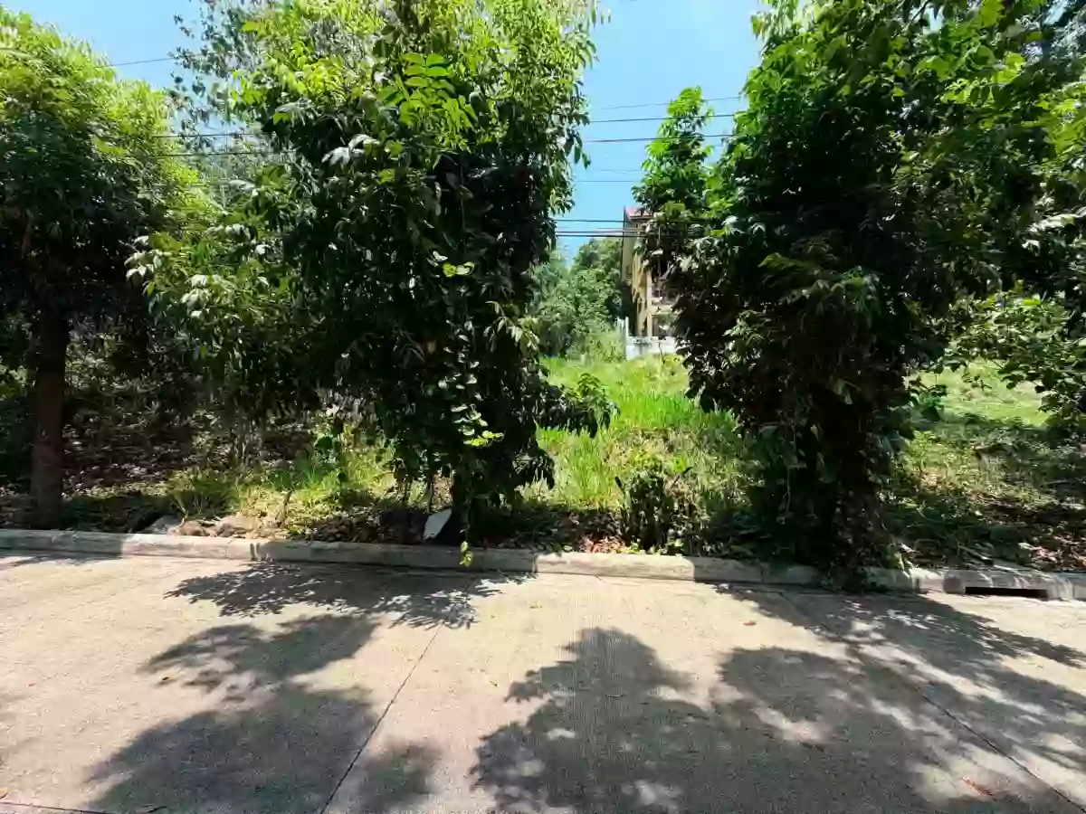 For Sale: Residential Lot in Balulang, Cagayan de Oro City — 337 sqm — Residential Lot in Masterson Avenue, Balulang, Cagayan de Oro City — Photo 5
