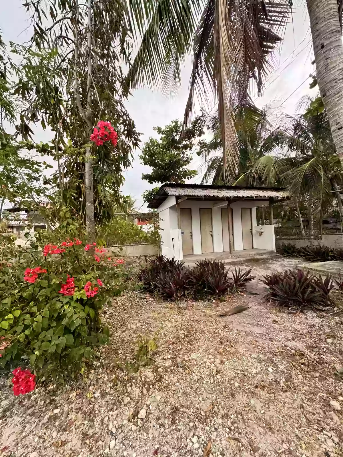 For Sale Beach Lot in Calape, Daang-Bantayan, Cebu 500 sqm — Beach Lot in Daang-Bantayan, Cebu, 6013 — Photo 5