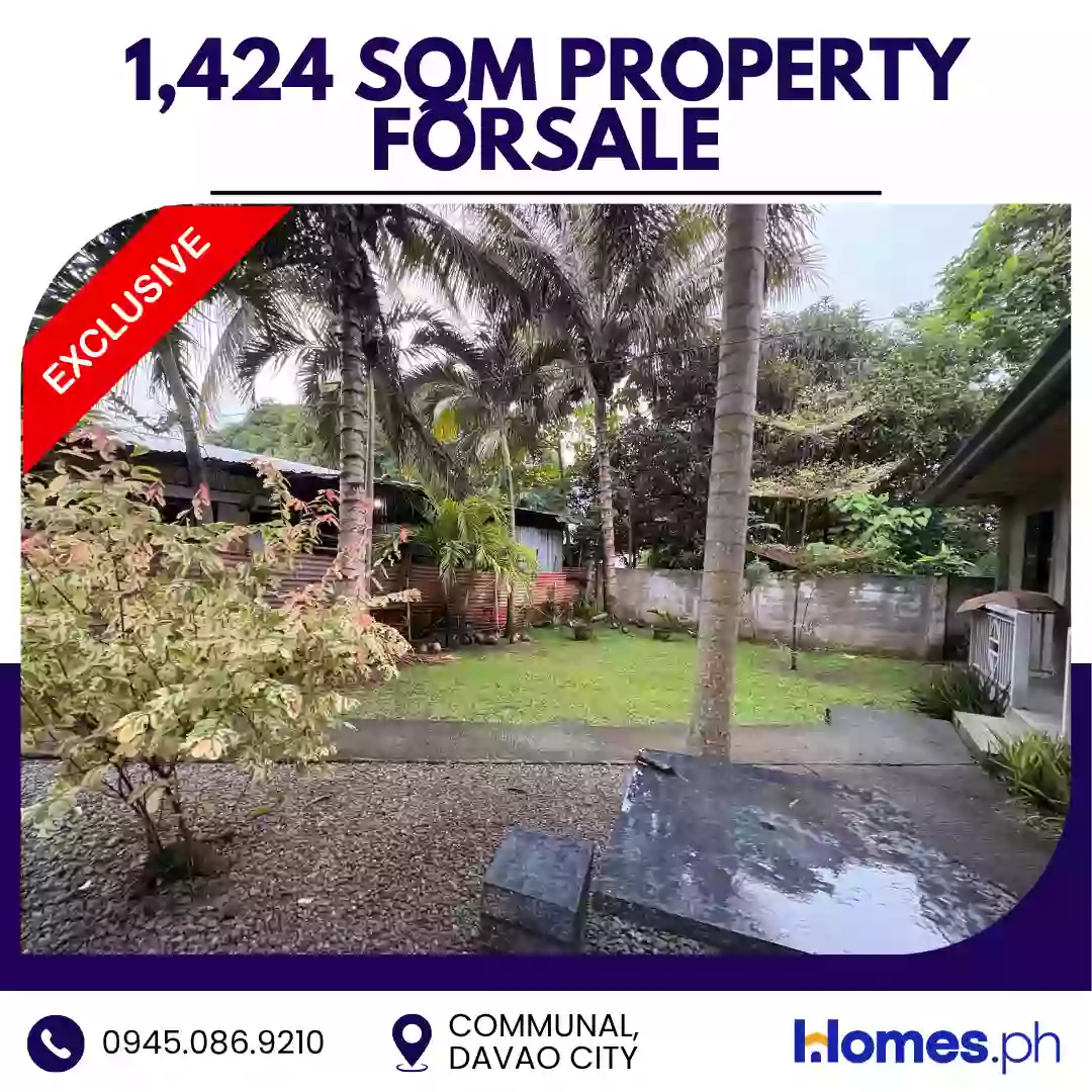 For Sale: House and Lot in Communal, Davao City — 1,424 sqm — House and Lot in Davao City, Davao del Sur, 8000 — Photo 6