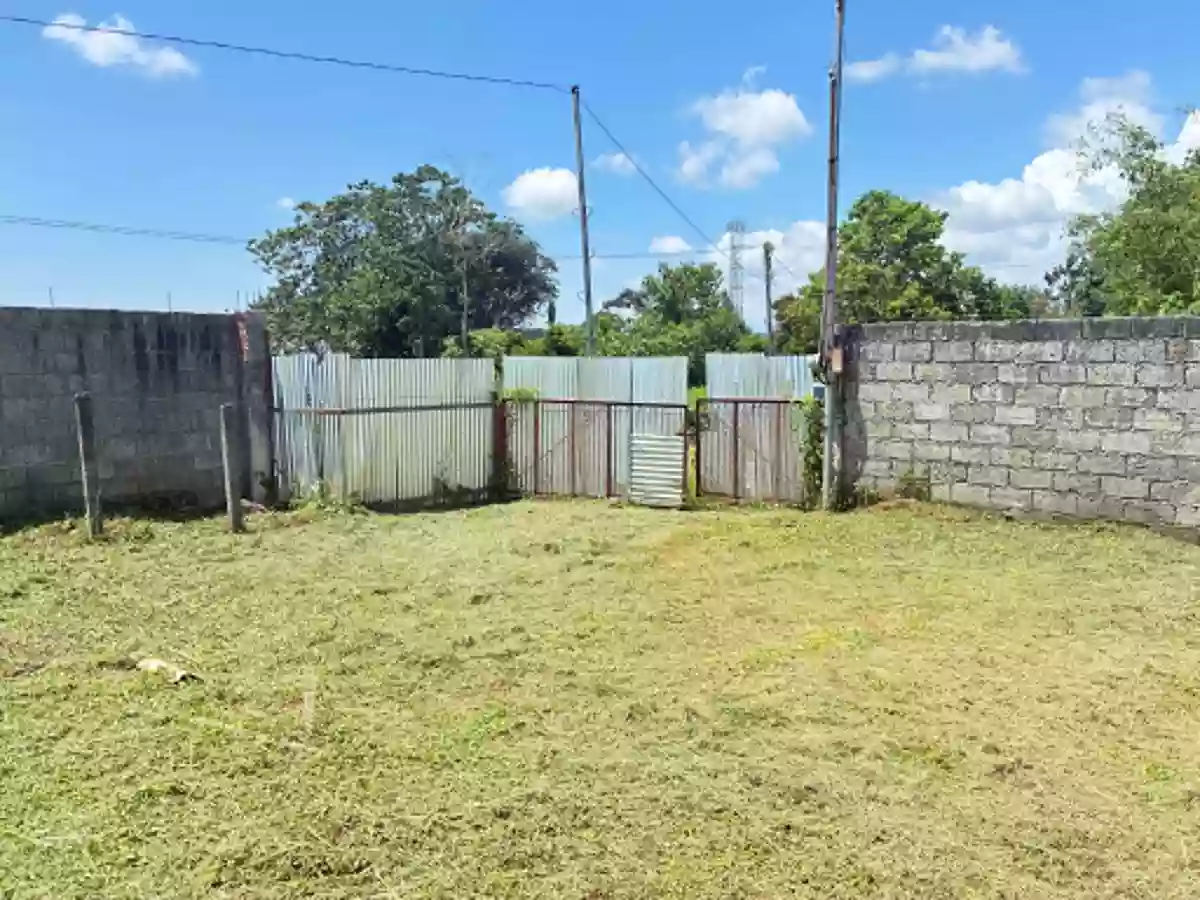 Residential Lot for Sale Near Malaybalay City Tree Park, Malaybalay — San Jose — Residential Lot in Malaybalay, Bukidnon, 8700 — Photo 5
