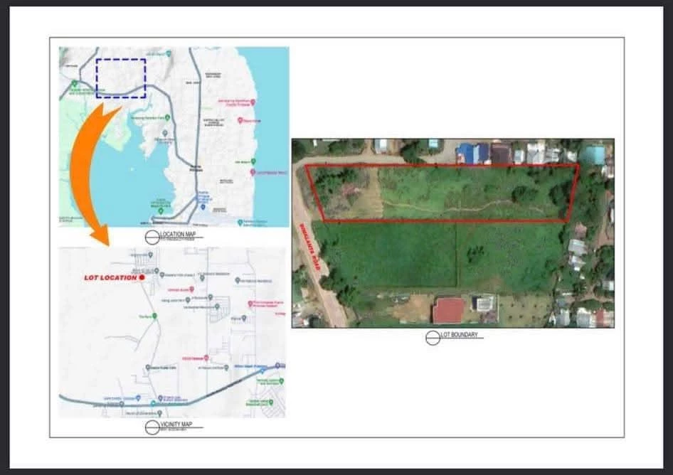 For Sale: Commercial/Residential Lot in Sicsican, Puerto Princesa City, Palawan — Commercial Lot in Puerto Princesa City, Palawan, 5300 — Photo 5