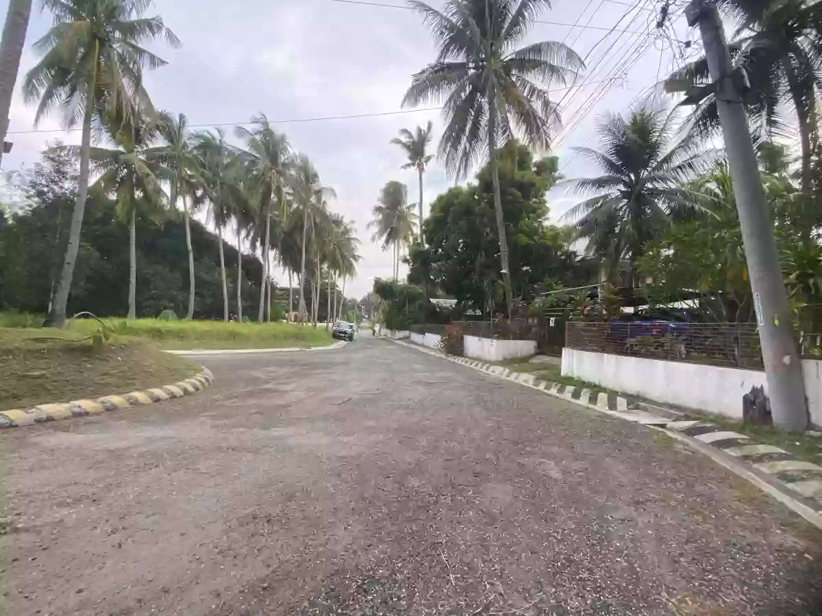 RESIDENTIAL LOT FOR SALE IN APO VISTA - 1336 — Residential Lot in Zamboanguita, Negros Oriental, 6218 — Photo 2