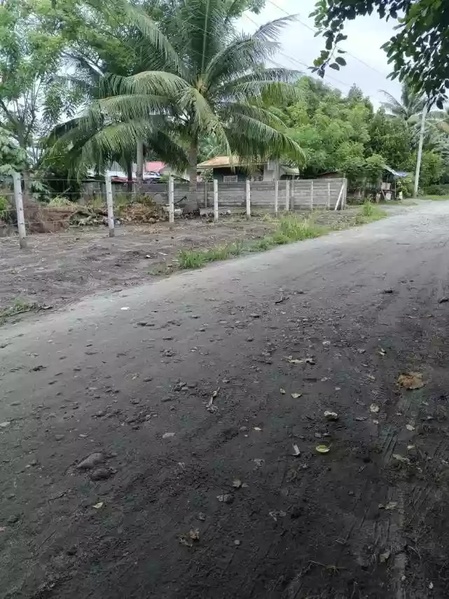 For Sale: 203 sqm Residential Lot Near All Homes, Diversion Road, Katangawan, General Santos City — Residential Lot in Katangawan, General Santos City, South Cotabato — Photo 4