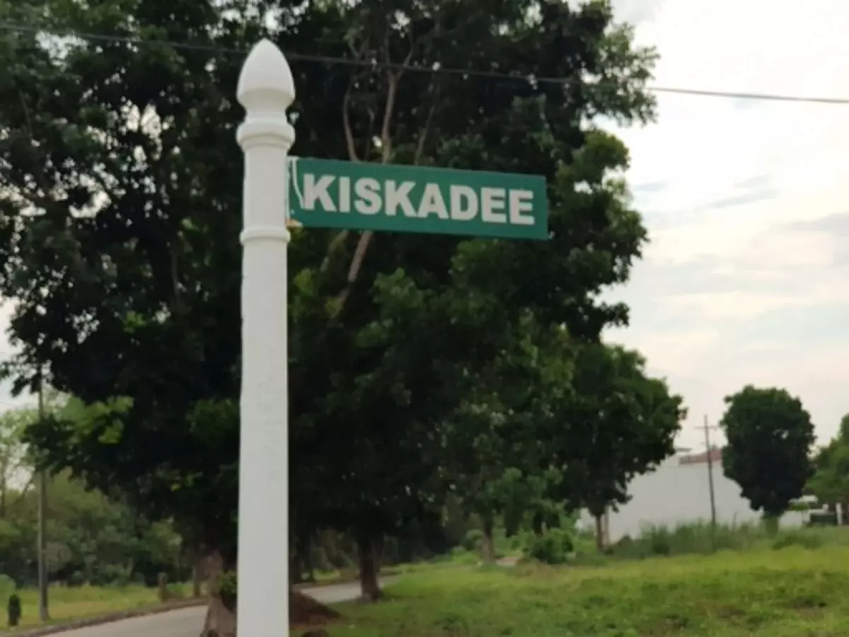 🏡 RUSH SALE | BELOW MARKET PRICE – Green Meadows, Iloilo — Residential Lot in Ungka, Iloilo City, Iloilo — Photo 5