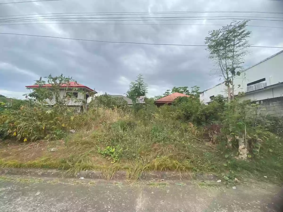 For Sale: Residential Lot in Candau-ay, Dumaguete City — 160 sqm — Residential Lot in Dumaguete City, Negros Oriental, 6200 — Photo 6