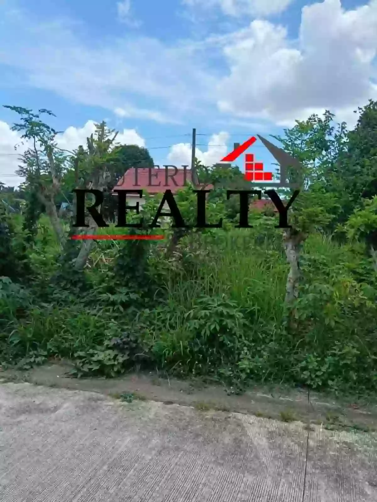 RESIDENTIAL LOT FOR SALE — Residential Lot in Naga City, Camarines Sur, 4400 — Photo 3
