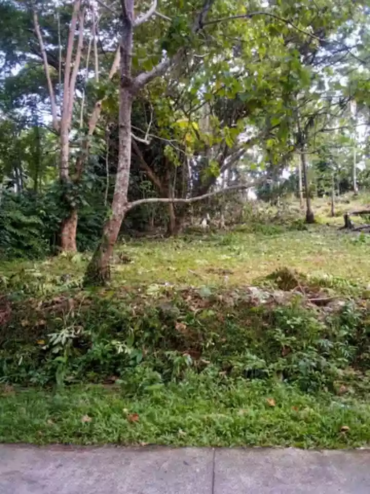 For Sale: 9426 sqm Residential Lot in Talairon, Oroquieta City — Land Banking — Residential Lot in Talairon, Oroquieta City, Misamis Occidental — Photo 2