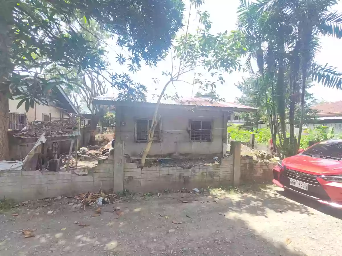 HOUSE AND LOT FOR SALE