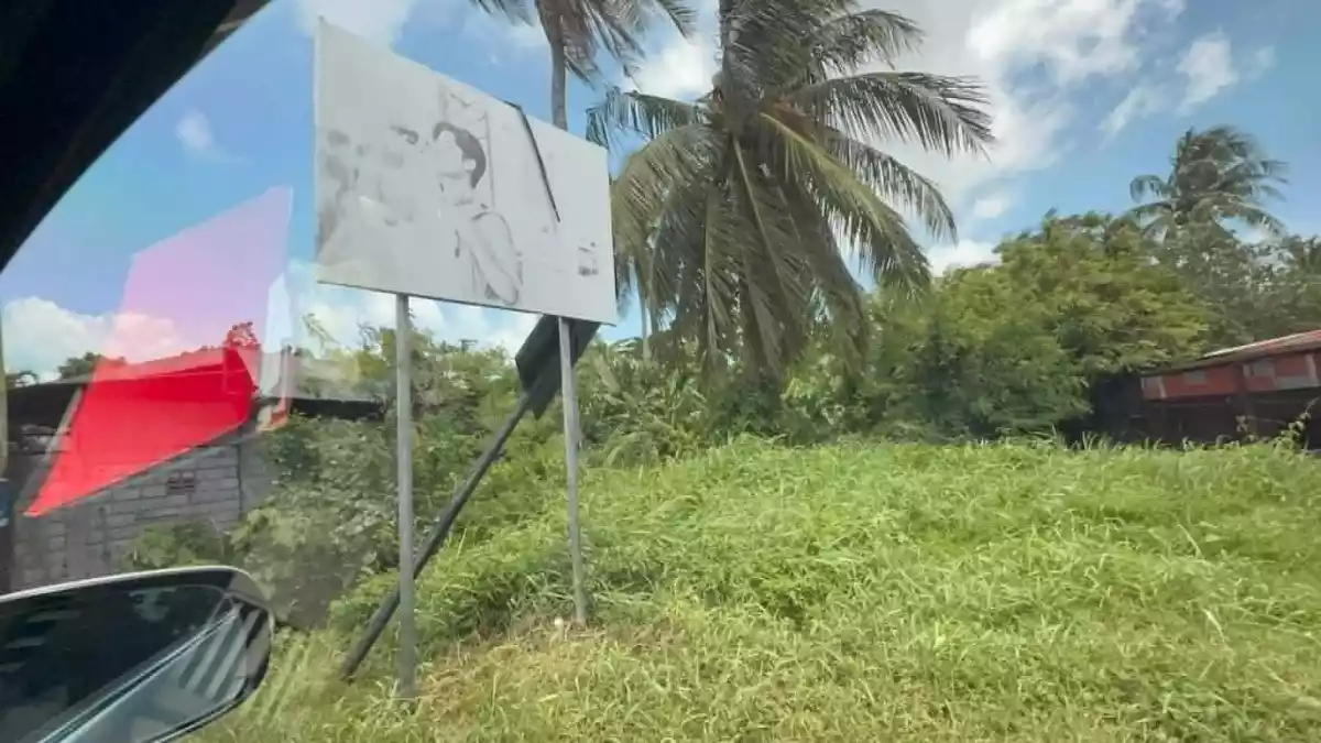 For Sale: Commercial Lot in Taloc, Bago City — 2,569 sqm — Commercial Lot in Taloc, Bago City, Negros Occidental — Photo 2