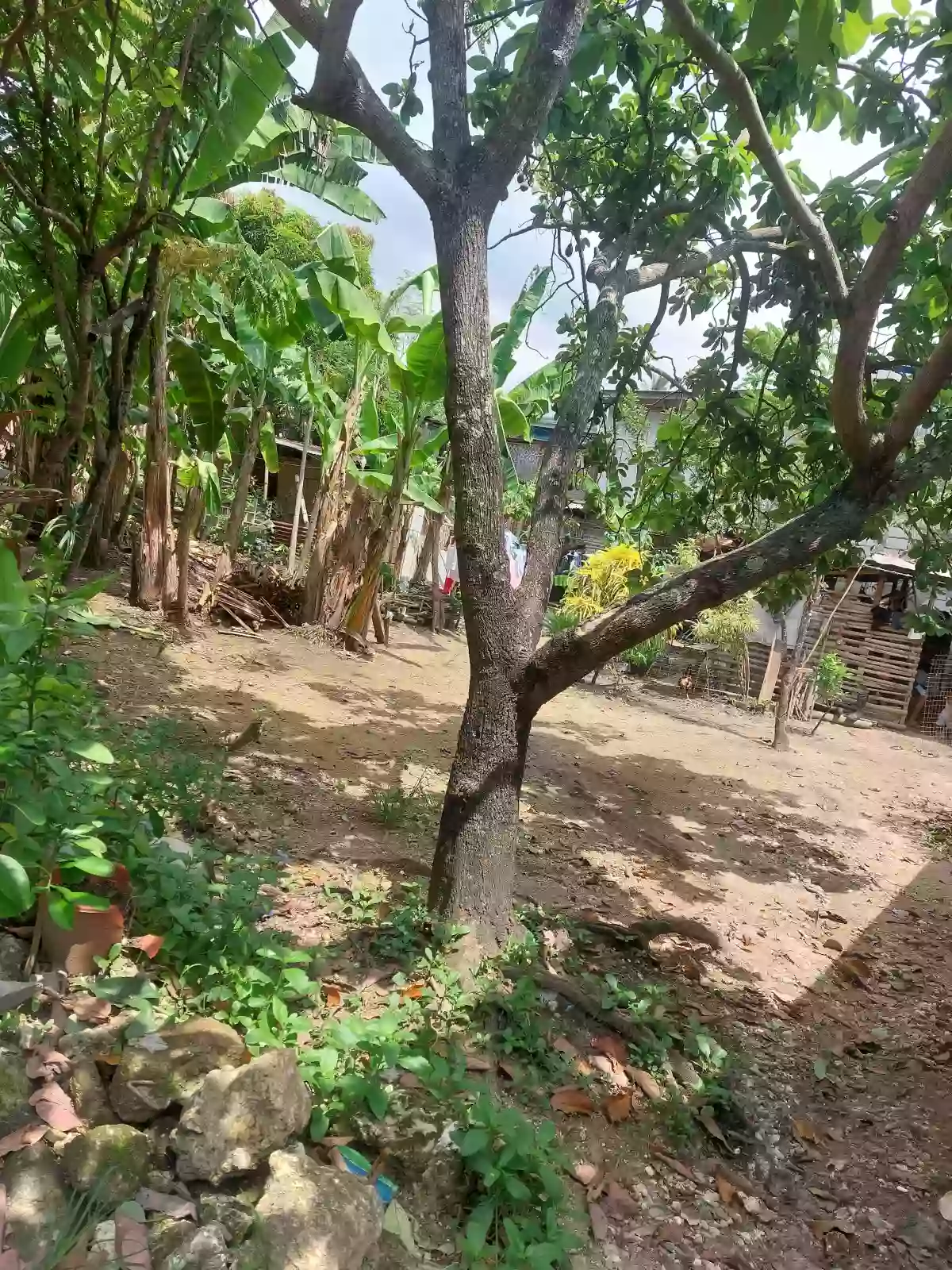 Residential Lot For Sale — Residential Lot in Poblacion, Liloan, Cebu — Photo 5