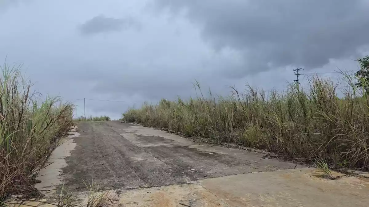 For Sale: Residential Lot Near Discovery Hills, Liloan — 200 sqm — Residential Lot in Liloan, Cebu, 6002 — Photo 4