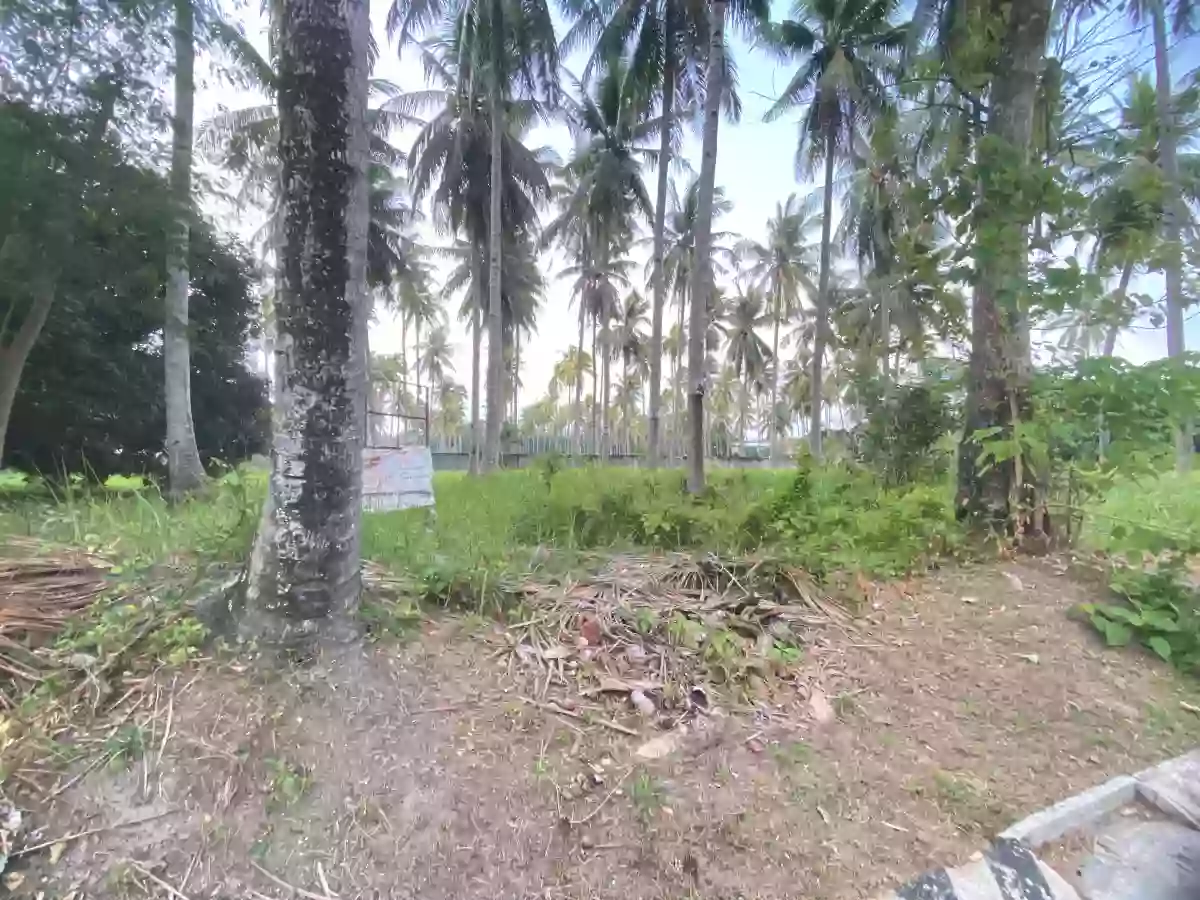 RESIDENTIAL LOT FOR SALE IN APO VISTA - 1336 — Residential Lot in Zamboanguita, Negros Oriental, 6218 — Photo 4